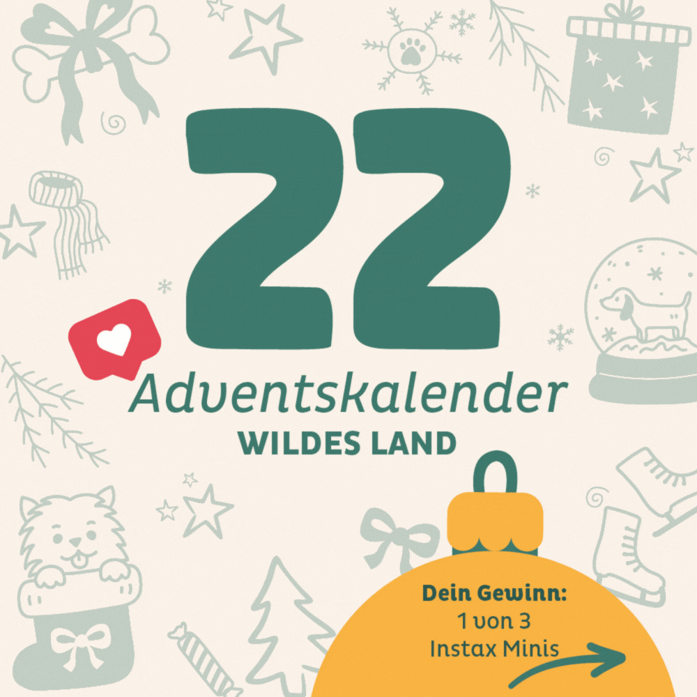 Adventskalender Wildes Land Türchen 22: 1 von 3 Instax Minis