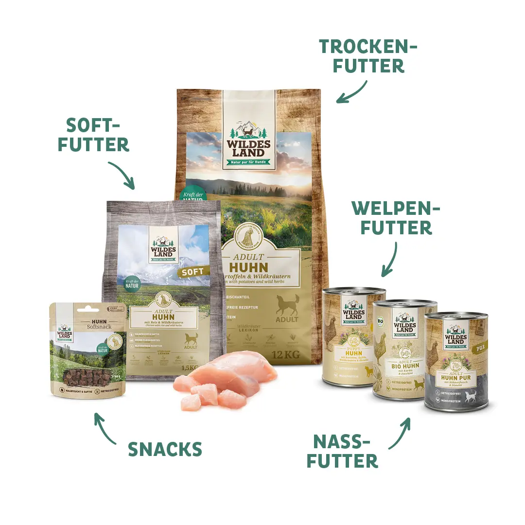Eine Auswahl an „Wildes Land“-Produkten mit Hundefutter Huhn, darunter Trockenfutter, Nassfutter, Softfutter, Welpenfutter und Snacks. Die Produkte betonen natürliche Zutaten und eine artgerechte Ernährung für Hunde.