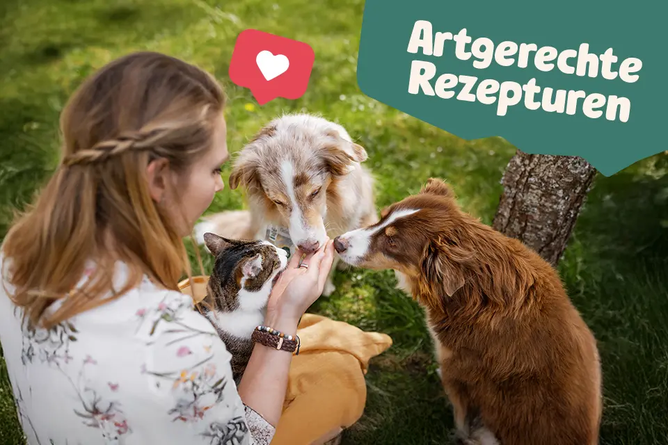 Frau füttert zwei Hunde und eine Katze im Freien. Text: 'Artgerecht Rezepturen'.