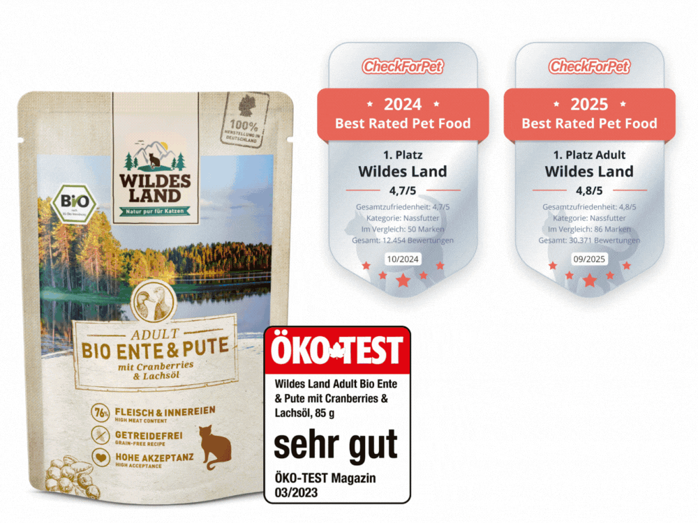 Auswahl an Nassfutter-Dosen von Wildes Land, ausgezeichnet als Testsieger und „Best Rated Pet Food 2024“ von CheckForPet. Wildes Land bietet bestes Katzenfutter mit natürlichen, hochwertigen Zutaten.