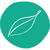 Vegetarische Produkte