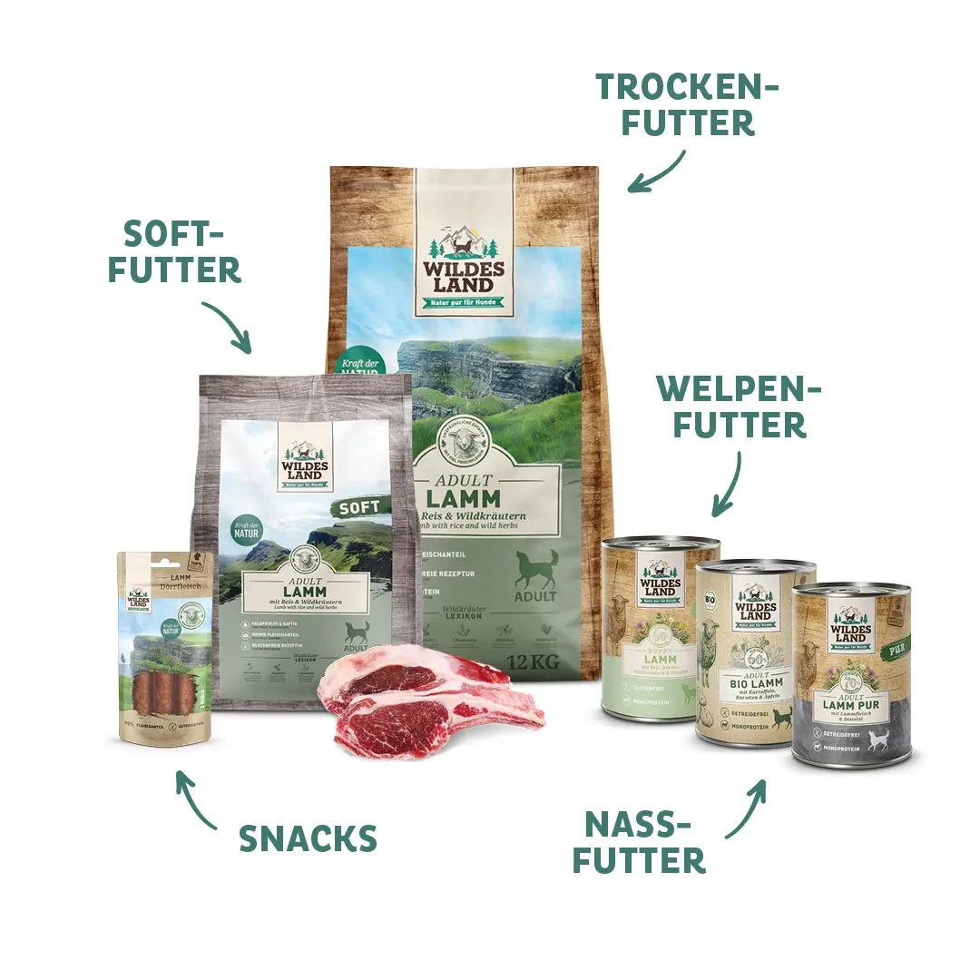 Eine Auswahl an „Wildes Land“-Produkten mit Hundefutter Lamm, darunter Trockenfutter, Nassfutter, Softfutter, Welpenfutter und Snacks. Die Produkte betonen natürliche Zutaten und eine artgerechte Ernährung für Hunde.