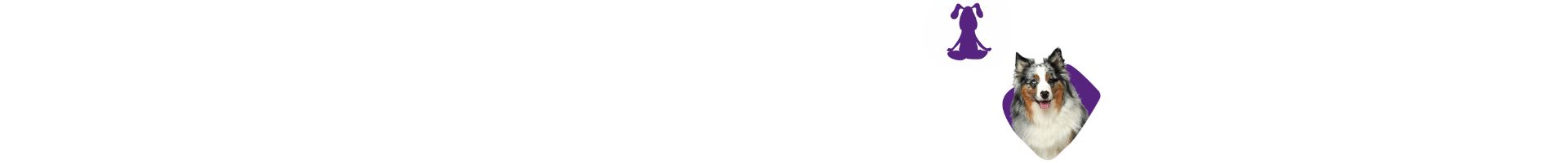 Seitentrenner: Ein glücklicher Hund mit einem lila Hintergrund neben einem Icon eines meditierenden Hundes in Lotus-Position. Symbolisiert Ruhe, Wohlbefinden und Entspannung.