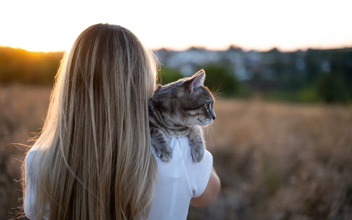 Person hält eine Katze im Arm und schaut mit ihr in die Abendsonne.