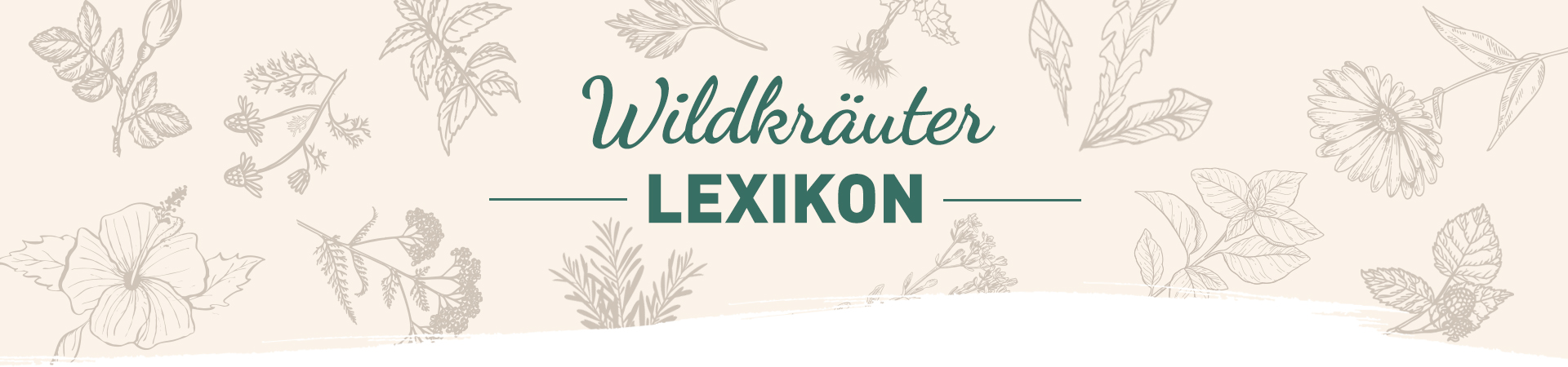 Wildkräuter Lexikon