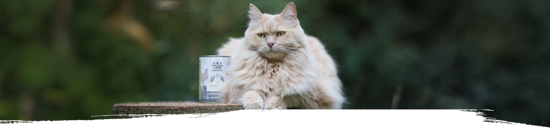 Katze liegt entspannt auf einem Baumstamm, neben ihr steht eine Dose Wildes Land Nassfutter.