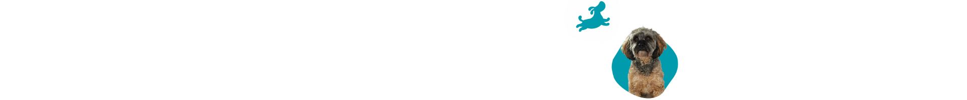 Seitentrenner: Ein brauner Hund mit einem fröhlichen Ausdruck in einer blauen Sprechblase. Darüber ein blaues Icon eines tanzenden Hundes, das Beweglichkeit und Freude symbolisiert, auf weißem Hintergrund.