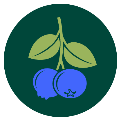 A close‑up photo of blueberries covered in water droplets with a few green leaves.