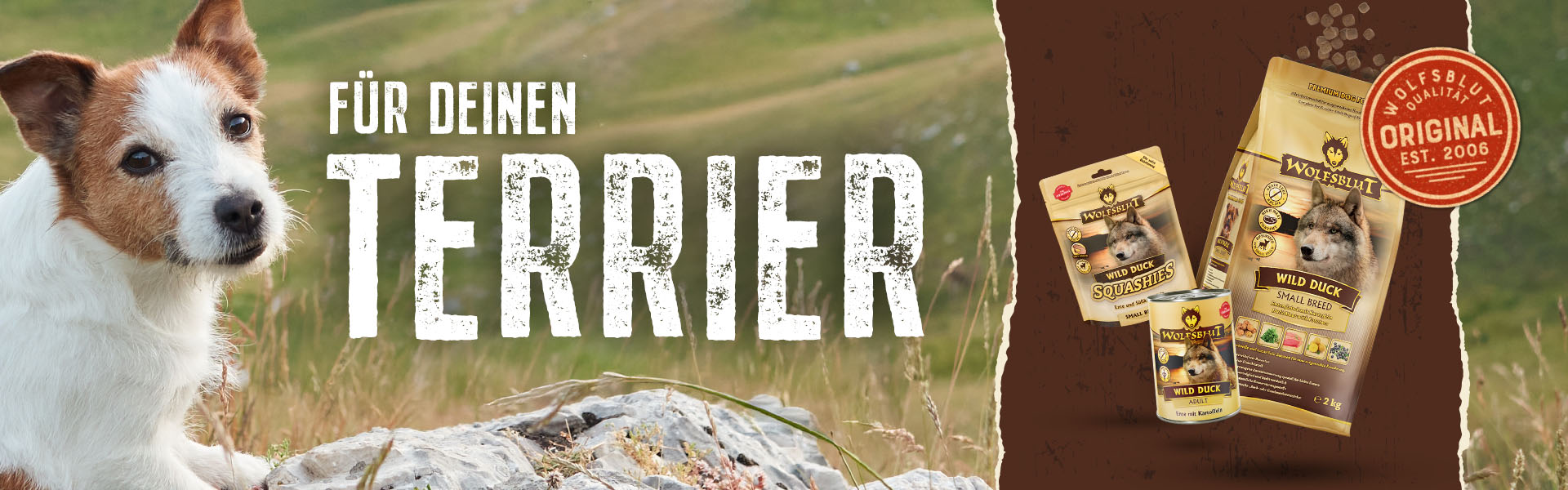 Wolfsblut für deinen Terrier