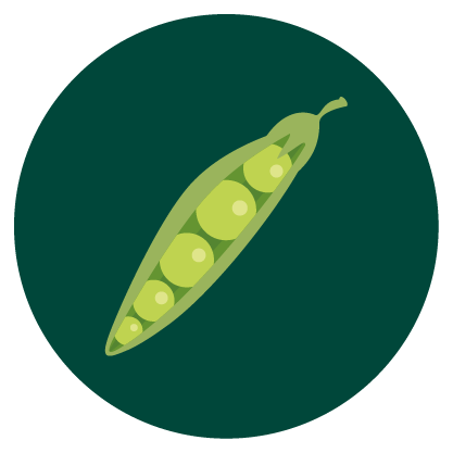 A close‑up photo of a large pile of fresh green peas.