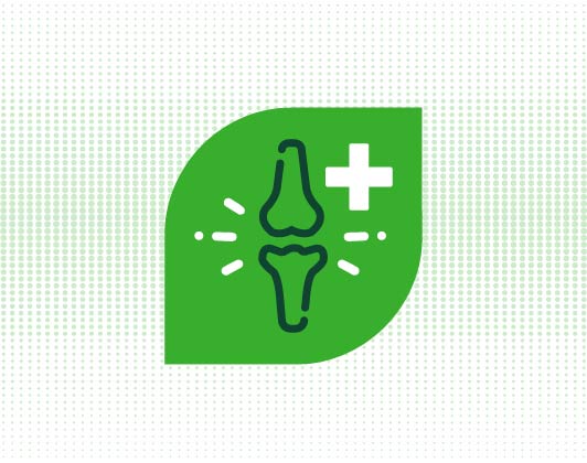 Green leaf-shaped icon featuring a joint bone illustration with a medical cross, representing joint health or bone support.