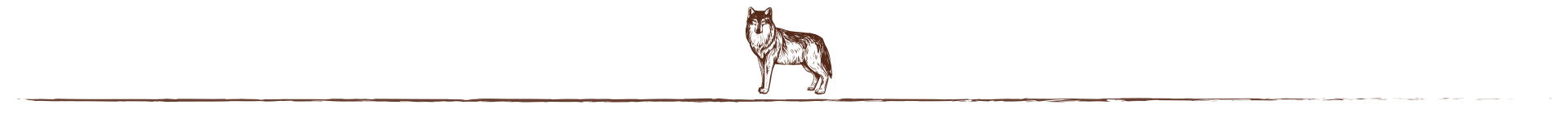 Wolfsblut Hundefutter optischer Trenner