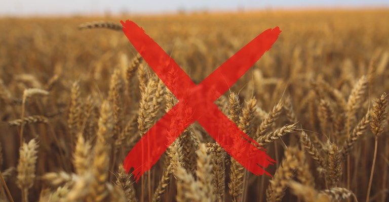 Getreidefrei und glutenfrei WOLFSBLUT Hundefutter