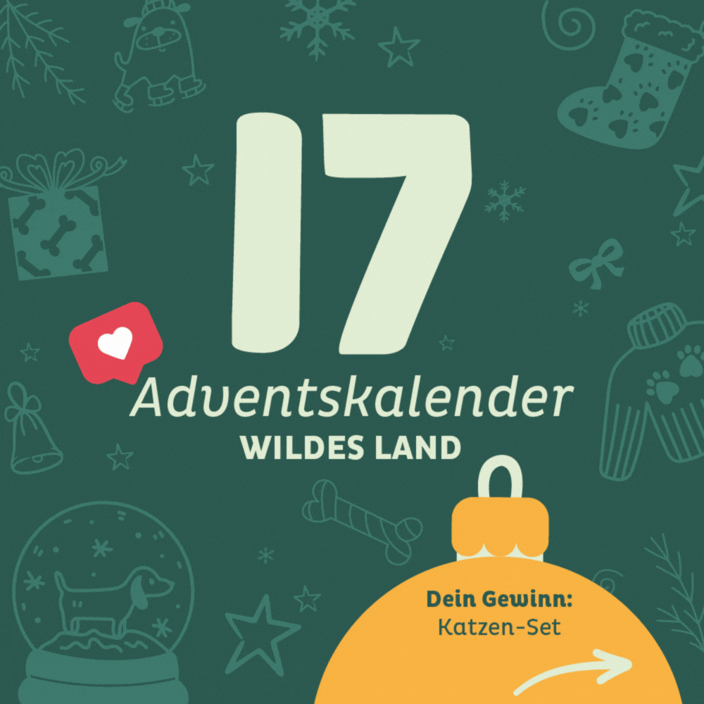 Adventskalender Wildes Land Türchen 17: Katzen-Set von CATLABS
