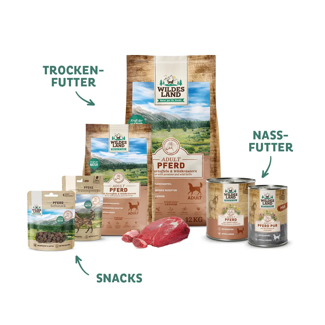 Eine Auswahl an „Wildes Land“-Produkten mit Hundefutter Pferd, darunter Trockenfutter, Nassfutter und Snacks. Die Produkte betonen natürliche Zutaten und eine artgerechte Ernährung für Hunde.