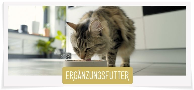 Ergänzung Herrmann's 