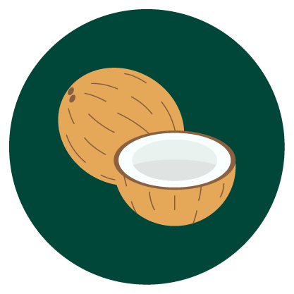 A close-up photo of a pile of whole coconuts with one split open on top to show the white flesh.