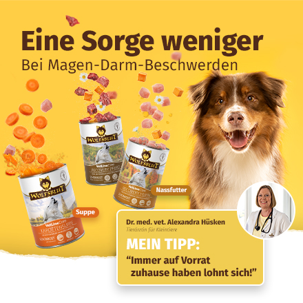 Hund mit Nassfutter Dosen von Wolfsblut