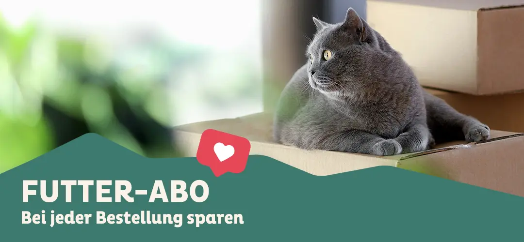 Eine graue Katze sitzt entspannt auf einem Kartonstapel und blickt nach rechts. Die Szene ist in einem hellen, gemütlichen Raum mit unscharfem Hintergrund und grünen Pflanzen im Vordergrund. Darunter steht in weißer Schrift: „FUTTER-ABO – Bei jeder Bestellung sparen.“ Das Bild vermittelt Komfort und Bequemlichkeit, im Einklang mit den Vorteilen eines Futter-Abonnements.