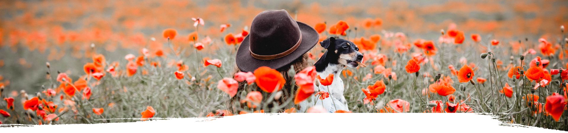 Frauchen steht mit ihrem Hund in einem roten Mohnblumen Feld
