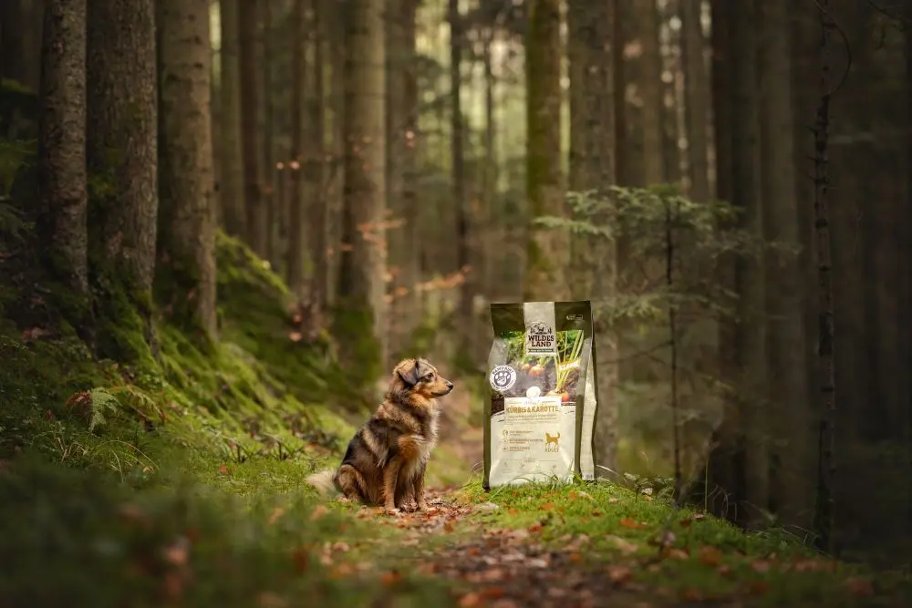 Brauner Hund sitzt im Wald, neben ihm ein großer Sack PawPrint Veggie.