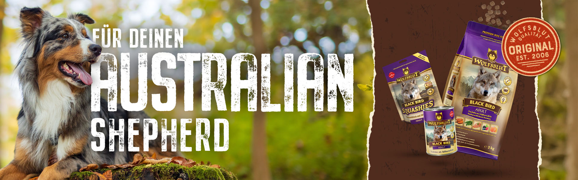 Hunderasse Australian Shepher und passendes Wolfsblut Hundefutter