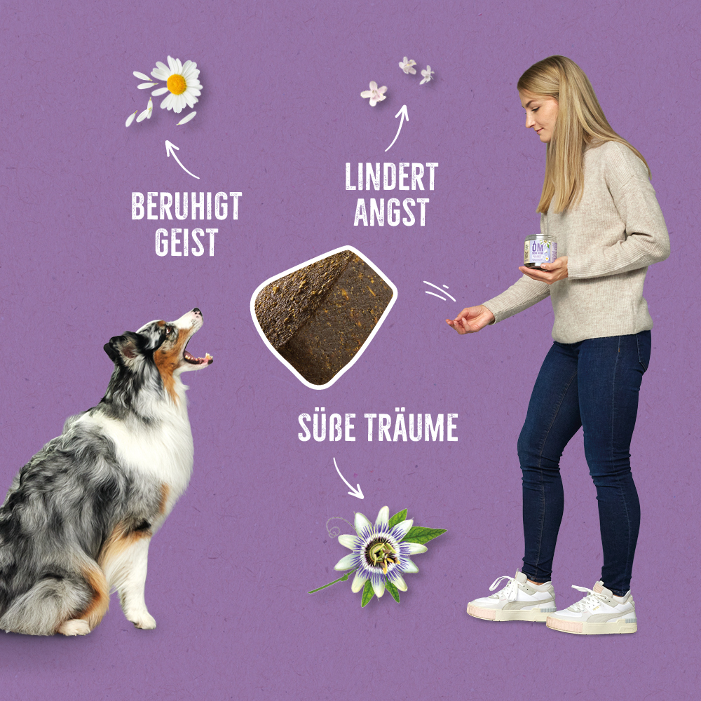 Ein Hund sitzt aufmerksam vor seinem Frauchen, die eine Dose „2in1 Snack BELLY“ hält, umgeben von natürlichen Zutaten wie Fenchelsamen, Löwenzahn und Rosmarin. Schlagworte wie „Mindert Blähungen“, „Detox“ und „Gegen Krämpfe“ heben die unterstützende Wirkung für Magen und Darm hervor.