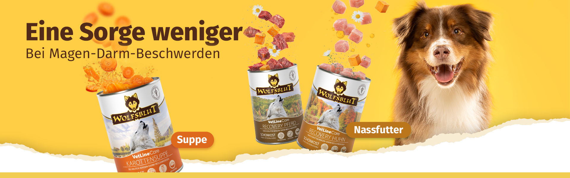 Hund mit drei Dosen Nassfutter