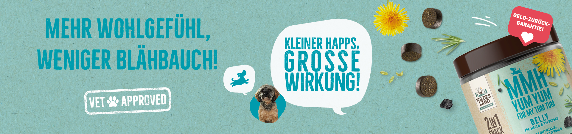 Werbung für den „2in1 Snack BELLY“ von Wildes Land, der Magen und Verdauung unterstützt. Enthält natürliche Zutaten wie Löwenzahn und Fenchel, mit Geld-zurück-Garantie und dem Slogan „Mehr Wohlgefühl, weniger Blähbauch!“.
