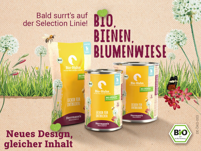 Selection im neuen Design: Bio, Bienen, Blumenwiese