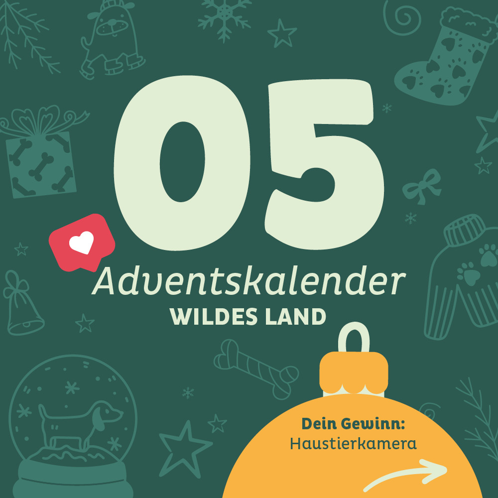 Adventskalender Wildes Land Türchen 5 - Türchen ist abgeschlossen