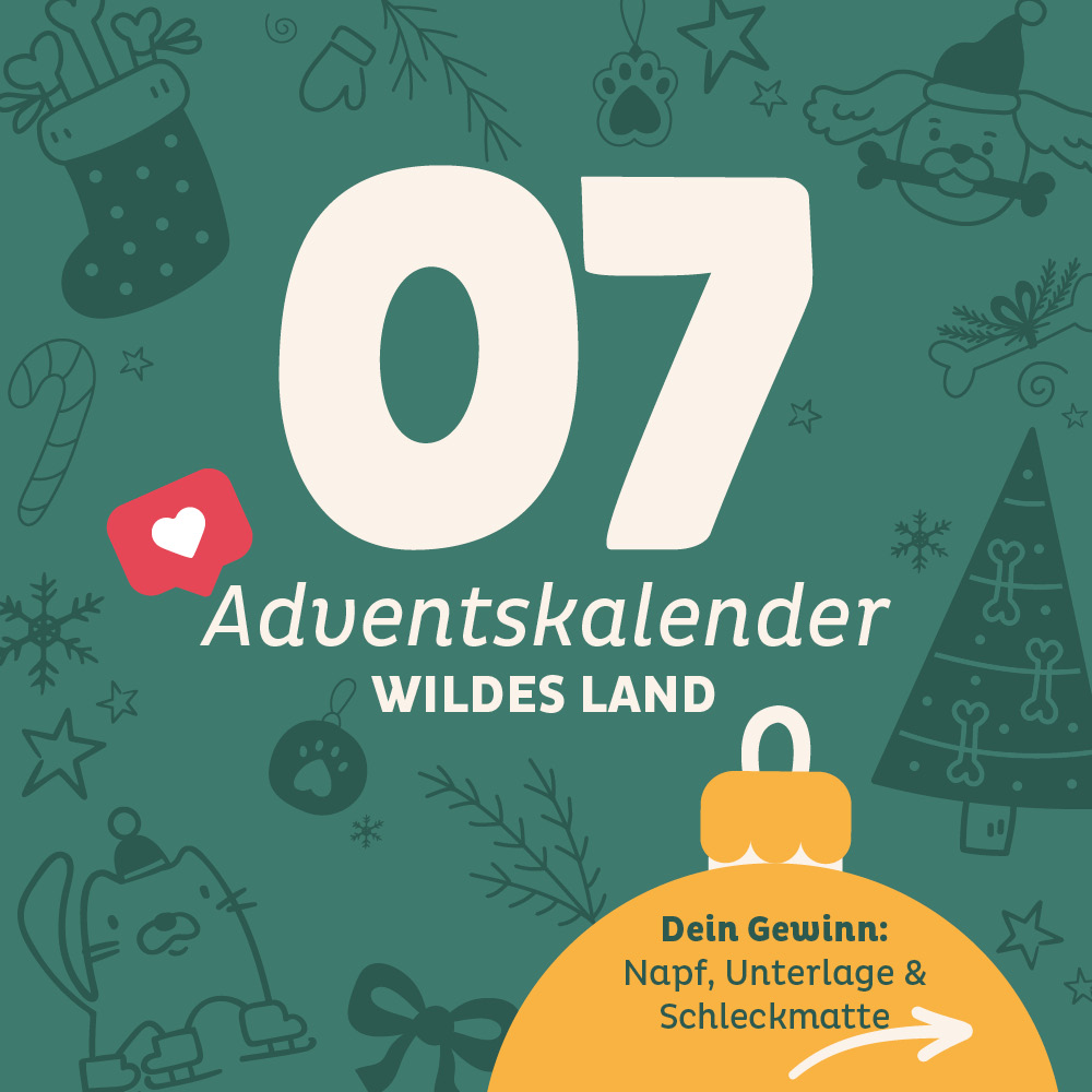 Adventskalender Wildes Land Türchen 7 - Türchen ist abgeschlossen