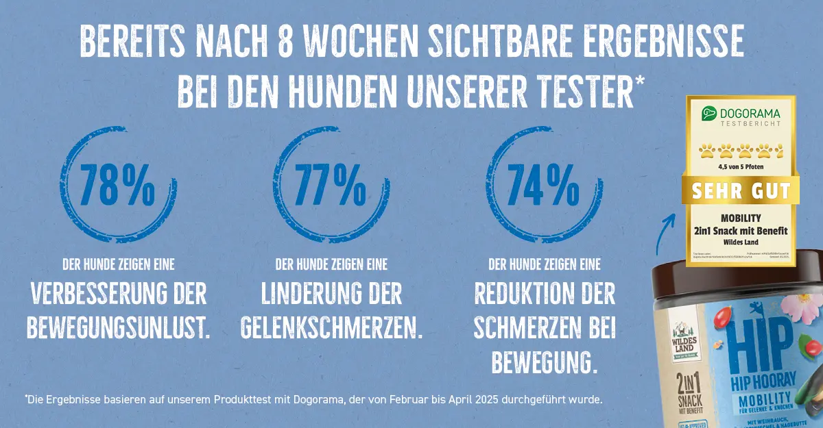 Das Bild zeigt den Wildes Land 2in1 Snack BEAUTY für Hunde mit Testergebnissen: 83 % der Hunde zeigten eine Verbesserung des matten Fells, 76 % eine Reduktion des Fellverlusts, 73 % eine bessere Wundheilung und 71 % eine Linderung des Juckreizes. Oben ist ein Testsiegel von Dogorama mit der Bewertung "Sehr gut" (4,5 von 5 Pfoten) abgebildet.