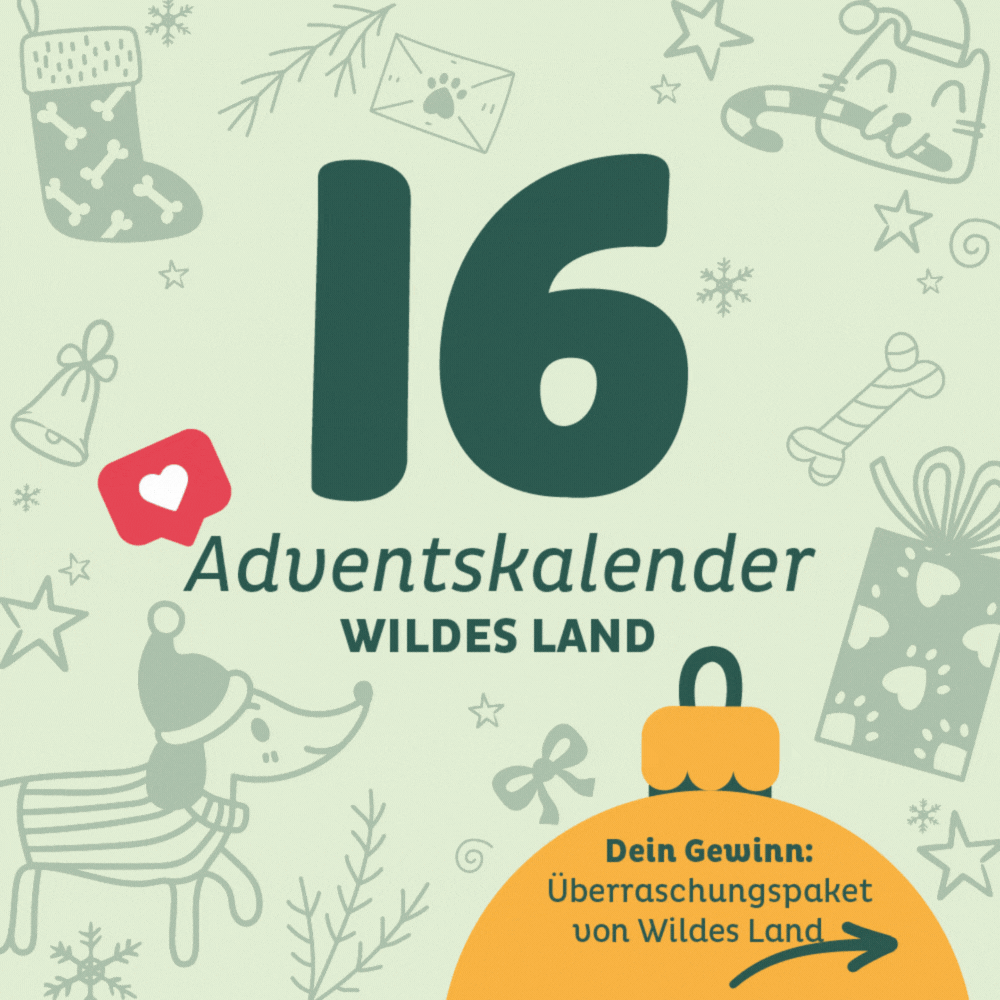 Adventskalender Wildes Land Türchen 16: Überraschungspaket Hund und Katze von Wildes Land