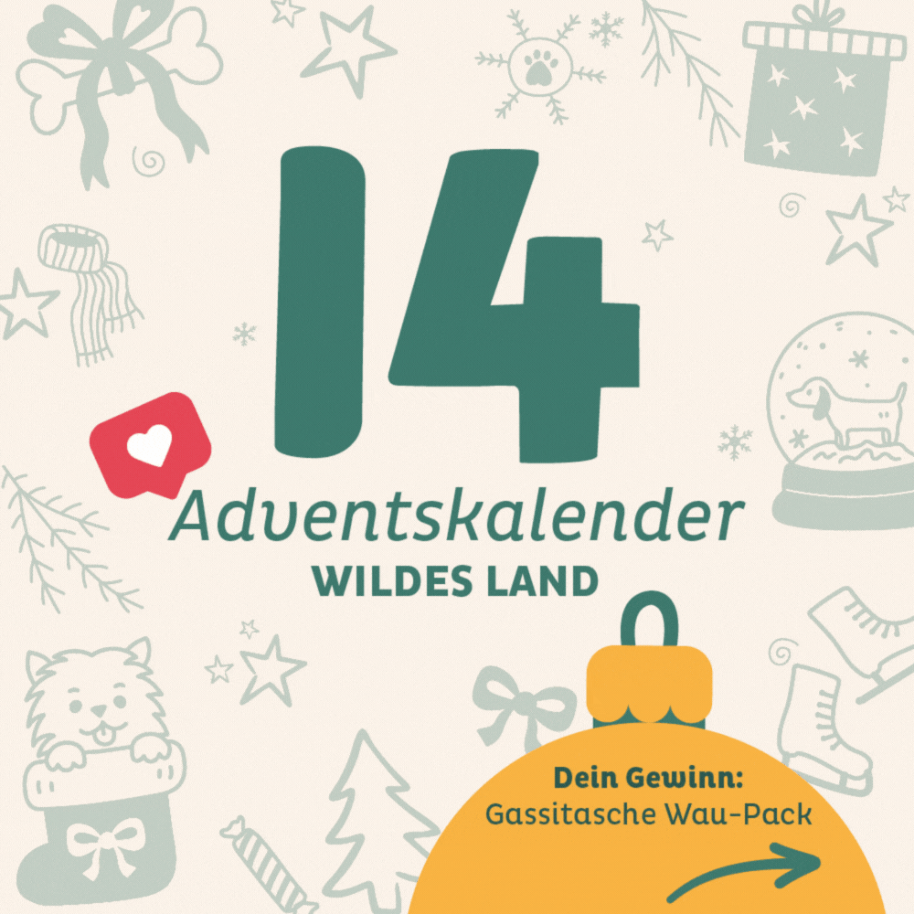 Adventskalender Wildes Land Türchen 14: Gassitasche Wau-Pack von EMMY&PEPE