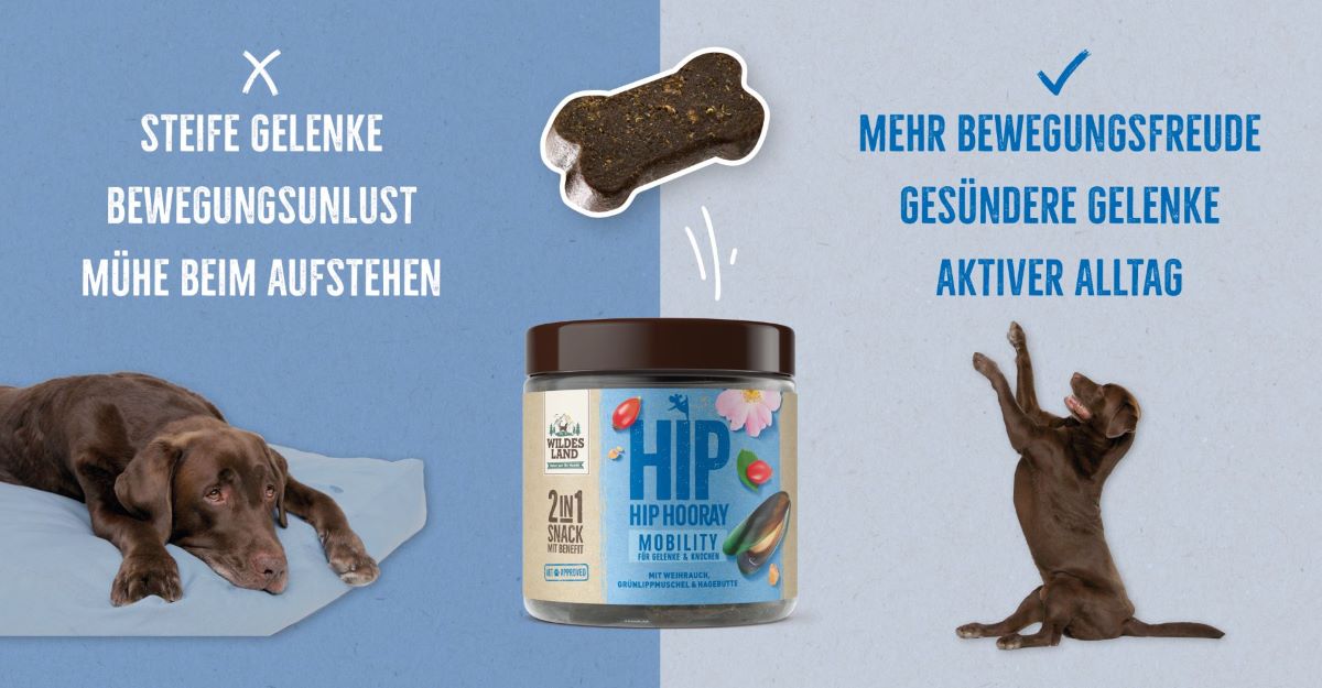 Zweigeteiltes Bild mit „2in1 Snack MOBILITY“ von Wildes Land: Links ein liegender Hund mit Schlagworten wie „Steife Gelenke“ und „Mühe beim Aufstehen“. Rechts ein freudig sitzender Hund, begleitet von „Mehr Bewegungsfreude“ und „Gesündere Gelenke“.