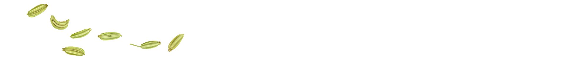 Seitentrenner: Samen