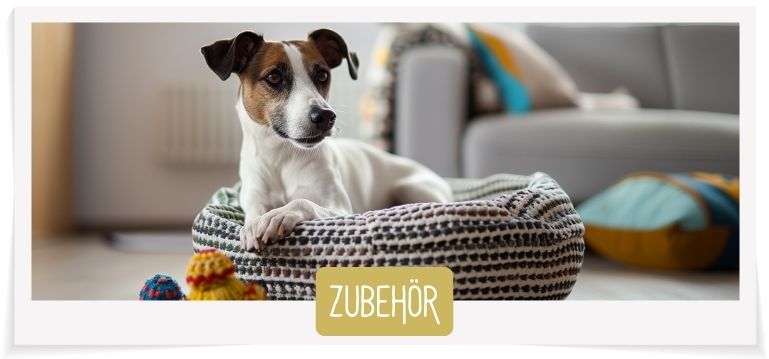 Zubehör Wildes Land Hund