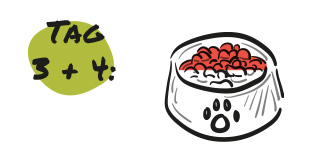 Futterumstellung - Schritt 2