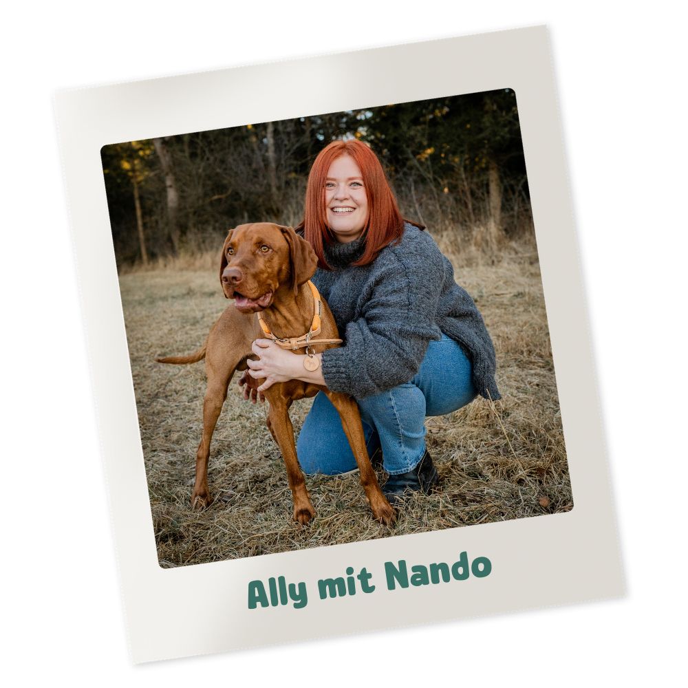 Ally & Nando - Wir stellen uns vor