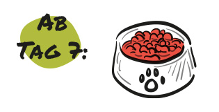 Futterumstellung - Schritt 4