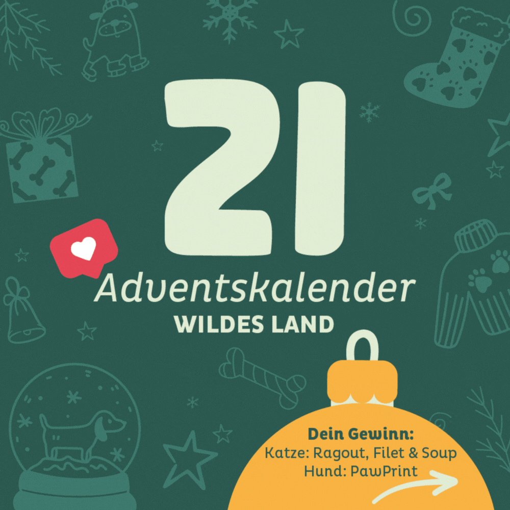Adventskalender Wildes Land Türchen 21: Katze - Ragout, Filet & Soup + Hund PawPrint Paket