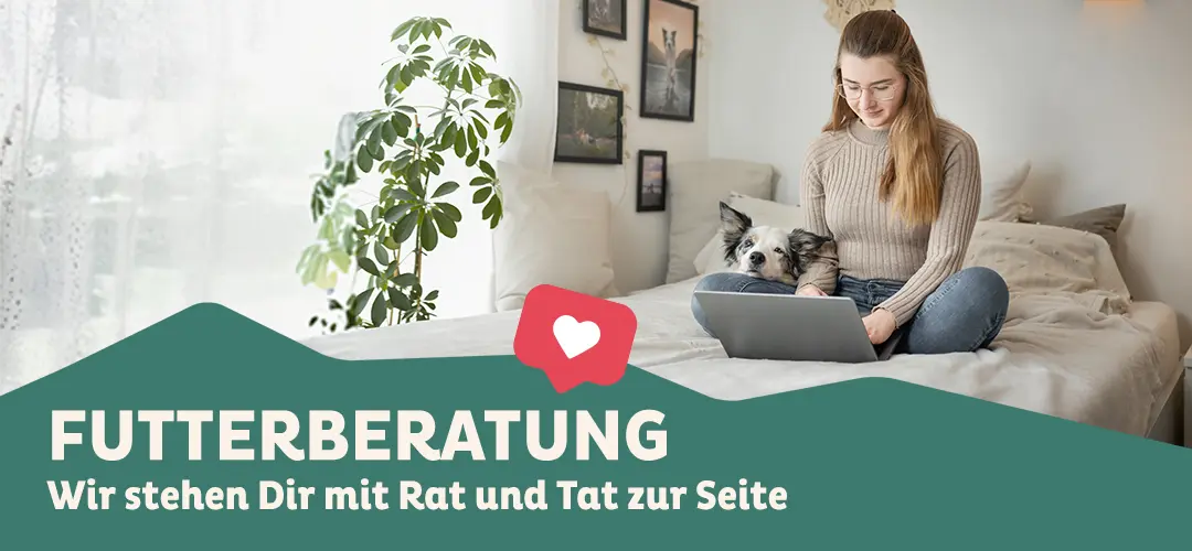 Eine junge Frau sitzt im Schneidersitz auf ihrem Bett und tippt auf ihrem Laptop, der vor ihr steht. Neben ihr liegt ein schwarz-weißer Border Collie, der seinen Kopf auf ihrem Schoß abgelegt hat und ruhig nach vorne schaut. Das Schlafzimmer ist modern und gemütlich eingerichtet, mit Zimmerpflanzen, gerahmten Bildern an der Wand und einer leuchtenden Nachttischlampe im Hintergrund. Darunter steht in weißer Schrift: „FUTTERBERATUNG – Wir stehen dir mit Rat und Tat zur Seite.“ Das Bild vermittelt eine warme, persönliche und vertrauensvolle Atmosphäre.