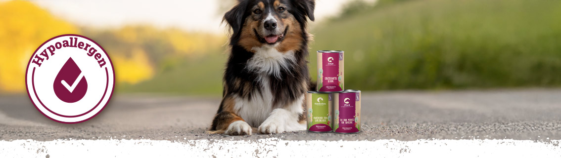 Hypoallergene Menüs