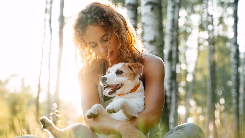 Eine Frau mit lockigem Haar sitzt in einem Wald und hält einen kleinen, fröhlichen Hund im Arm. Die Szene wird von warmem Sonnenlicht durchflutet.