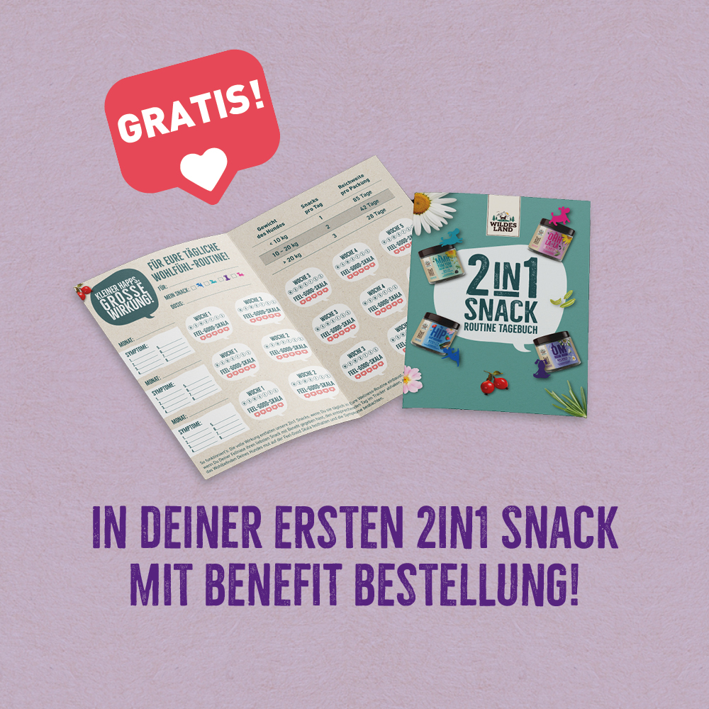 Werbung für das „2in1 Snack Routine Tagebuch“: Kostenlose Beilage bei der ersten „2in1 Snack mit Benefit“-Bestellung, dargestellt mit einem offenen und geschlossenen Tagebuch auf türkisem Hintergrund. Hervorgehoben durch eine rote Sprechblase mit „GRATIS!“-Hinweis und einem Herzsymbol.