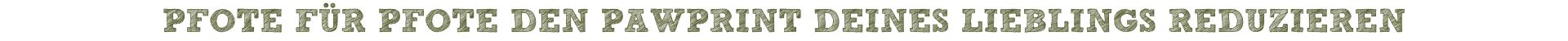 Headline 2: Pfote für Pfote den PawPrint Deines Lieblings reduzieren