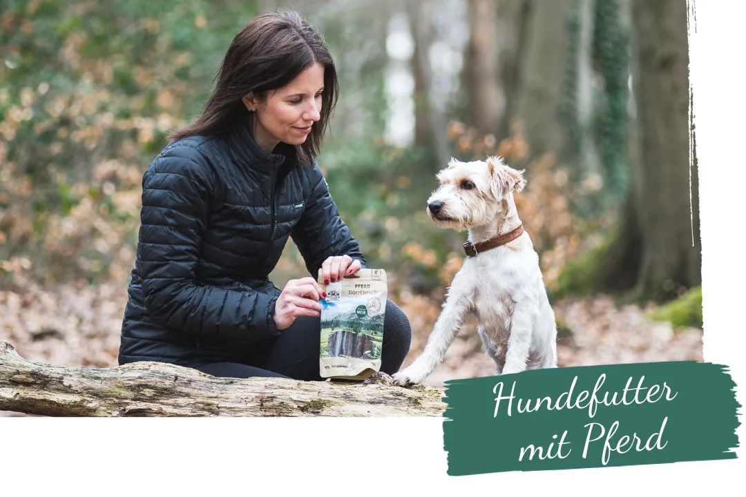 Eine Frau kniet im Wald und hält eine Packung „Wildes Land“-Hundefutter Pferd, während ein kleiner Hund aufmerksam daneben sitzt. Die Szene betont die Natürlichkeit und Qualität des Futters.
