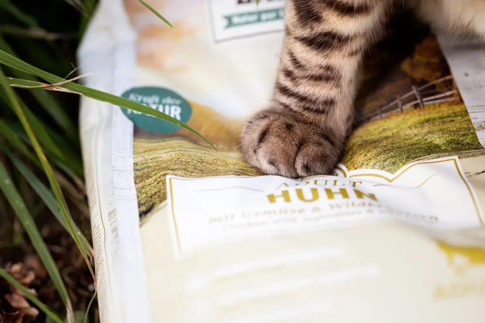 Ein Detailbild von einer getigerten Katzenpfote, die auf einer Packung Wildes Land Trockenfutter, Sorte Huhn, liegt.