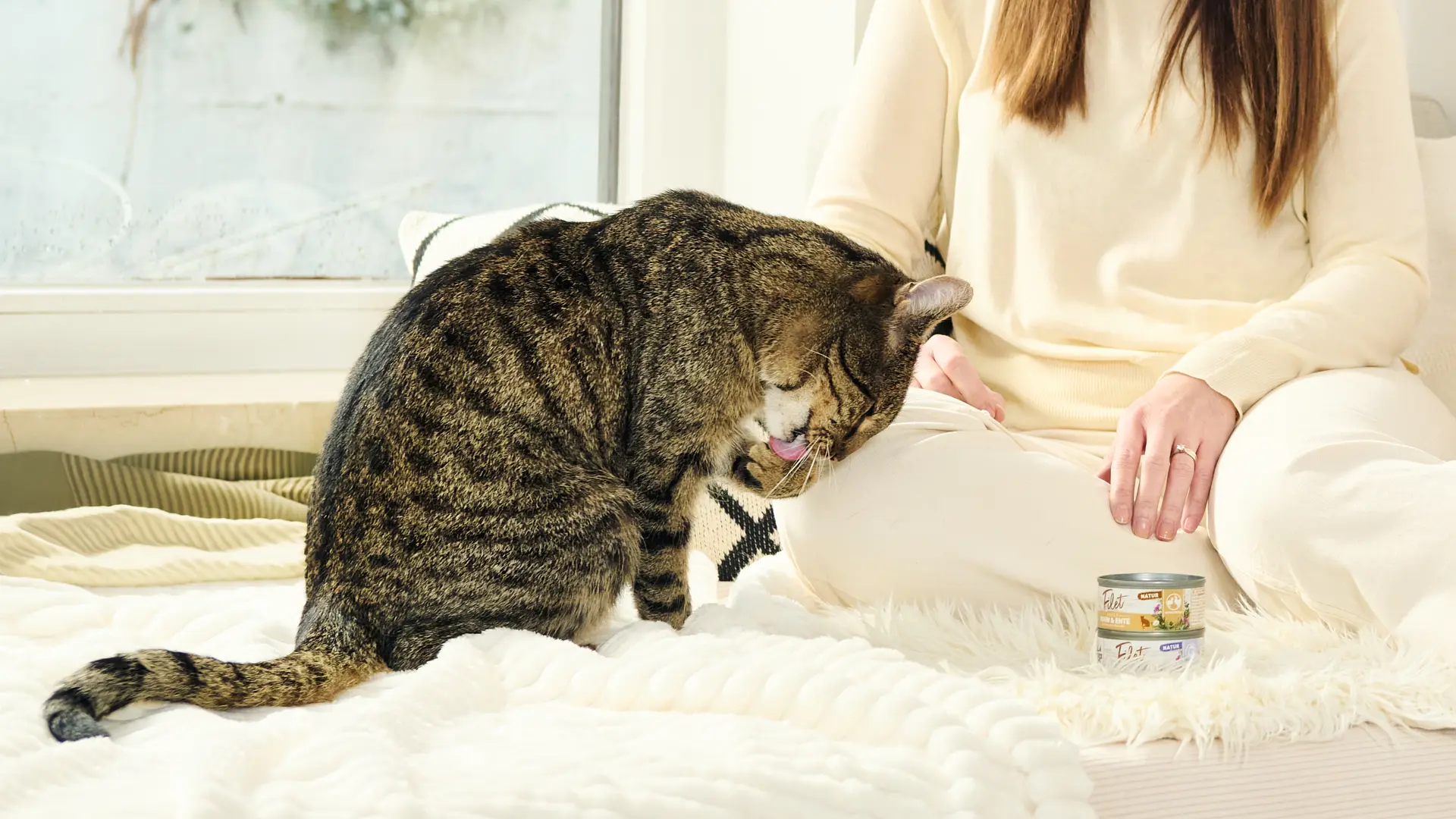 Katze sitzt auf dem Boden und schleckt sich die Pfoten, neben ihr stehen zwei Dosen Wildes Land Filet Nassfutter für Katzen